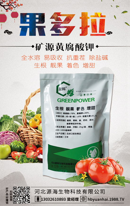 2020年香椿的種植前景，香椿的種植效益的分析！