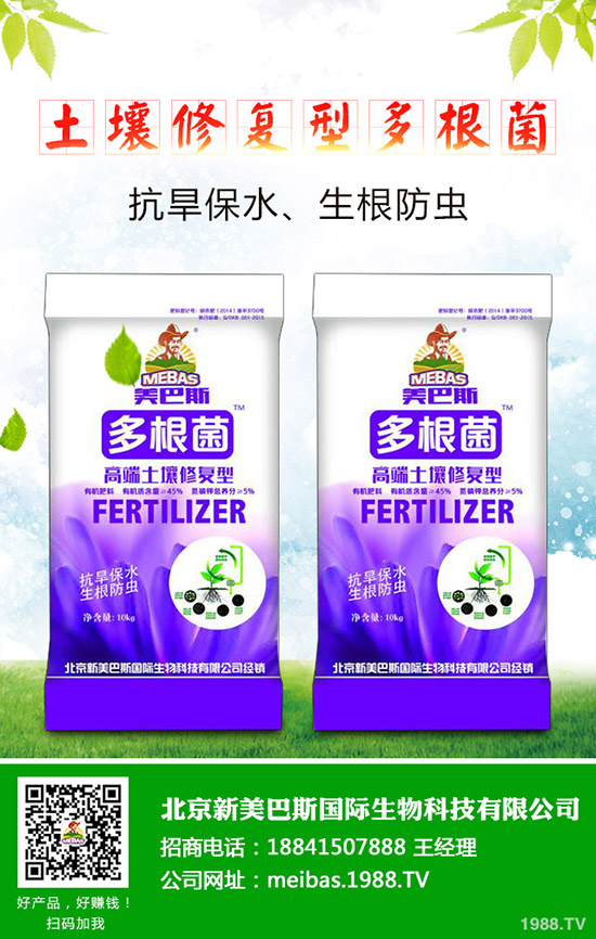 洋蔥的需肥特點(diǎn)有哪些？洋蔥的施肥技術(shù)是什么！