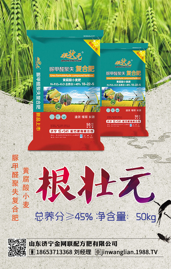 荊芥常見病害有哪些？該如何防治？荊芥常見病害的發(fā)生與防治技巧