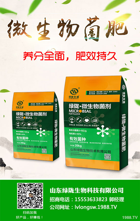 荊芥該如何種植？荊芥的種植環(huán)境要求