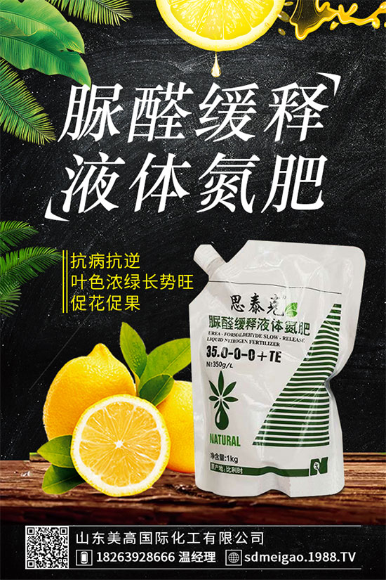 荊芥的功效作用有哪些？什么人不能吃荊芥？