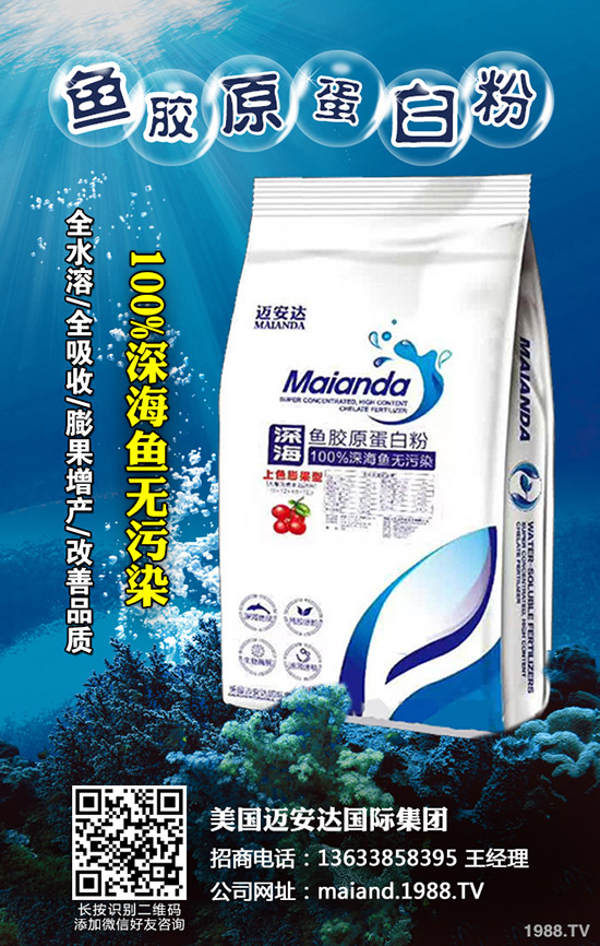 草莓旺長是什么原因，草莓控旺的方法有哪些？