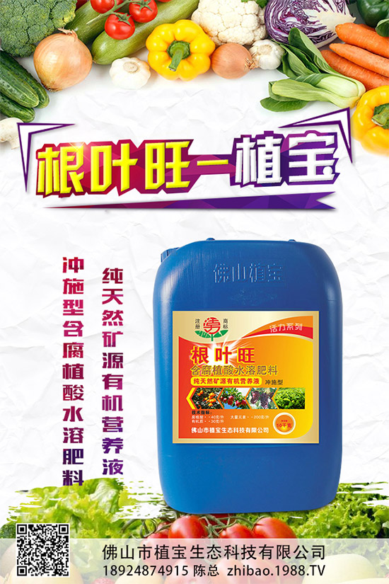     柚子有許多品種，各有各的風(fēng)味。但眼尖的人會(huì)發(fā)現(xiàn)，市面上賣的紅肉蜜柚比普通蜜柚要貴上許多。同樣是柚子，外表看起來也差不多，紅肉蜜柚憑什么比白肉柚子貴？