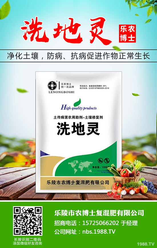 莧菜什么時候種植，莧菜的種植時間和方法！