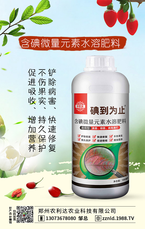 紅蘿卜如何管理才能豐收？六大科學(xué)管理我們知道嗎？