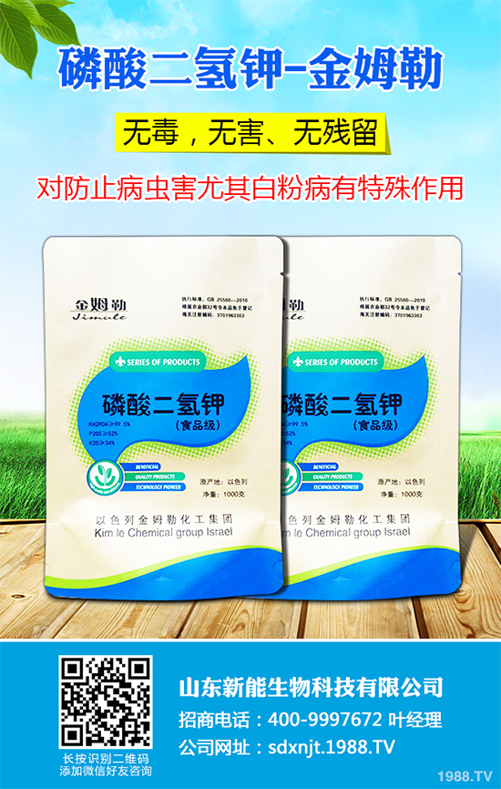 魔芋價(jià)格多少錢一斤？2020年魔芋種植的市場行情