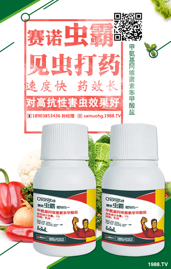 馬鈴薯環(huán)腐病癥狀 馬鈴薯環(huán)腐病防治方法