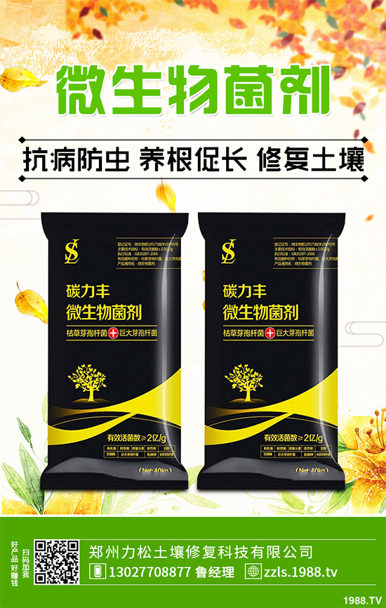 天麻該怎么種植？天麻的環(huán)境要求及種植技巧