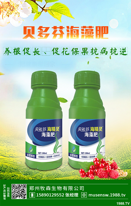 天麻該怎么種植？天麻的環(huán)境要求及種植技巧