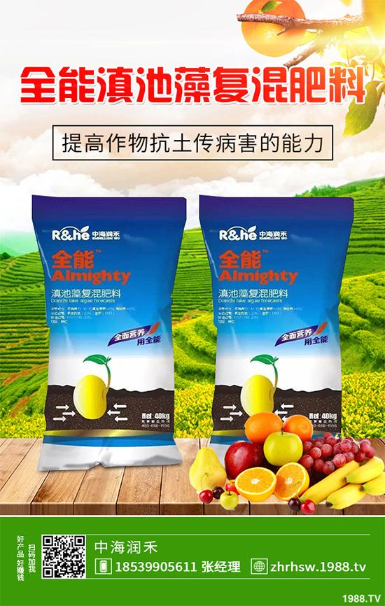 新鮮天麻和干天麻有哪些區(qū)別？那個效果更好？