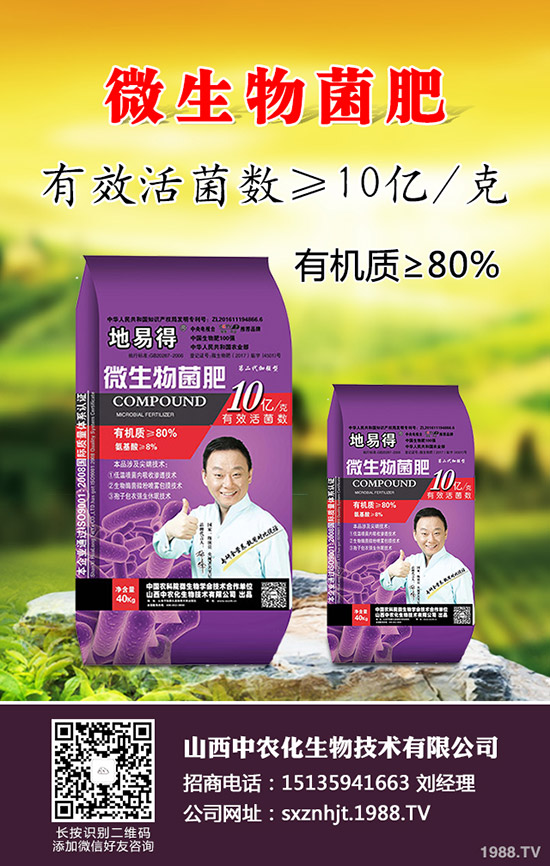     2020早春玉米在那些地區(qū)種植合適？春玉米種植播種時(shí)期及技術(shù)要點(diǎn)！