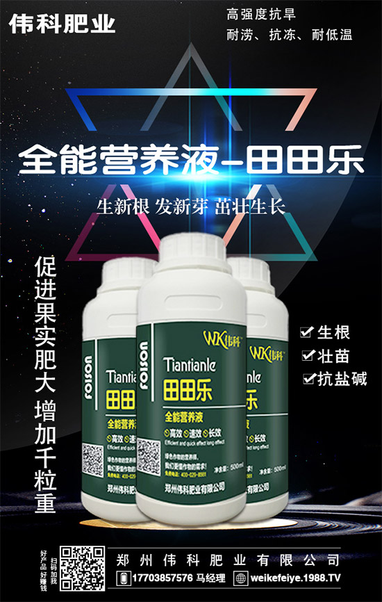     橙子的營養(yǎng)價(jià)值有哪些？功效與作用有哪些？不易哪些人群食用？