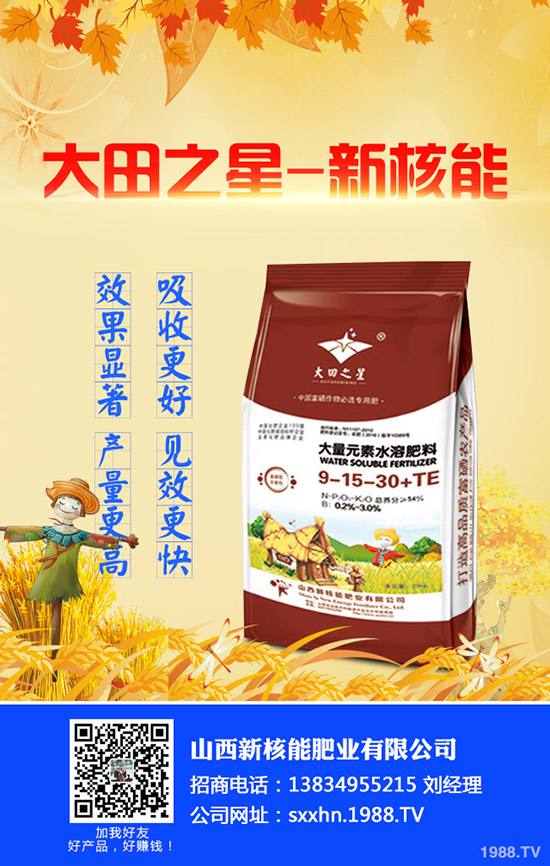     2020年早春辣椒什么時候種植？育苗技術(shù)及苗期管理要點！