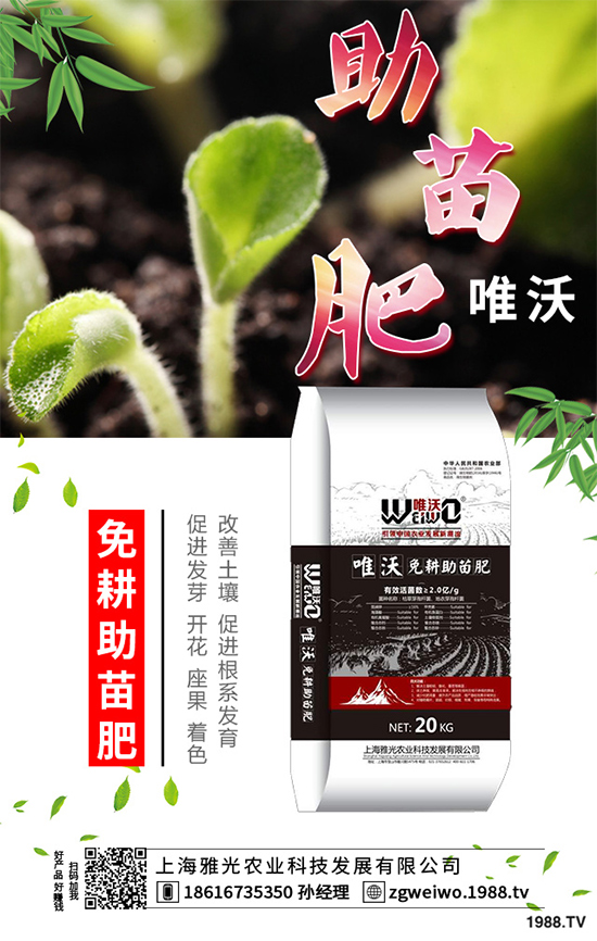     山藥什么時候采收？山藥的貯藏方法有哪些？