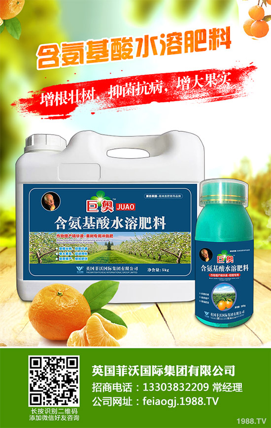 我國(guó)南方該怎樣種植藍(lán)莓？藍(lán)莓高產(chǎn)種植技術(shù)要點(diǎn)