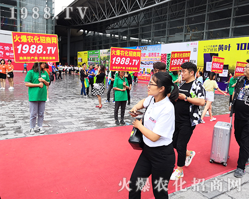     2019西南農資會上1988.TV的戰(zhàn)士用朝氣演繹自己