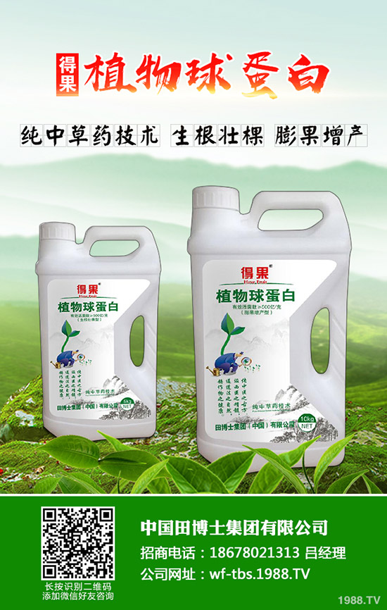     秋季種植什么蔬菜比較好！效益比較好！秋季種植指南！