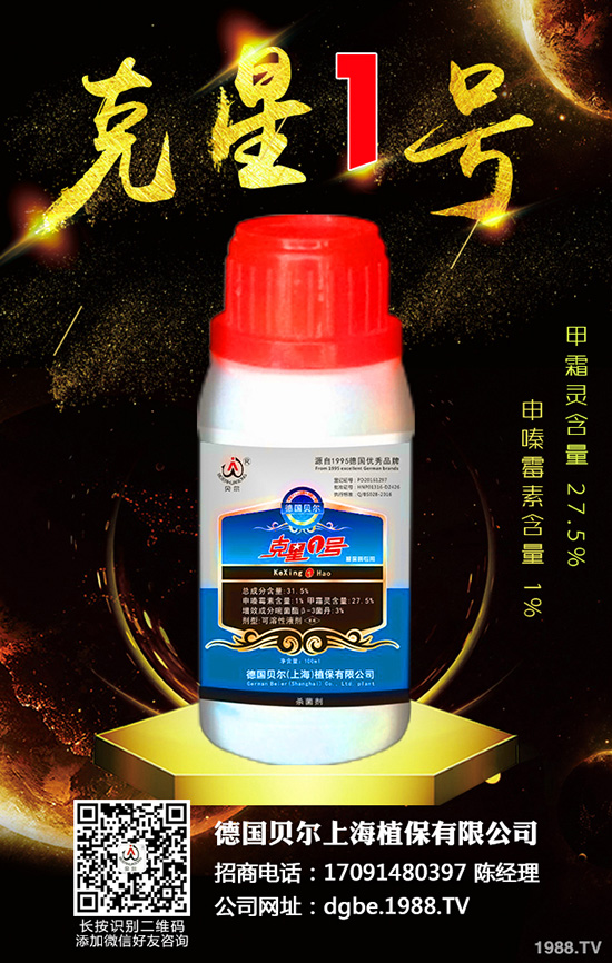 秋蘿卜霜霉病來襲，到底該如何防治？快來看看吧！