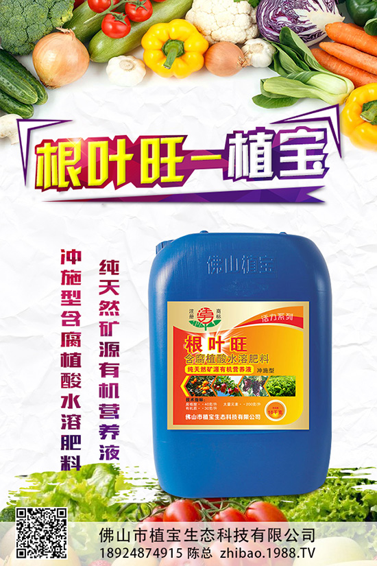 秋蘿卜什么時(shí)候種？該怎么種？2019秋蘿卜種植管理方案