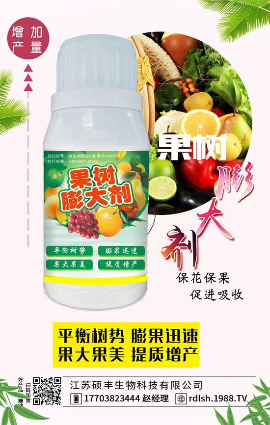 黑木耳的功效與作用，黑木耳的飲食禁忌有哪些？