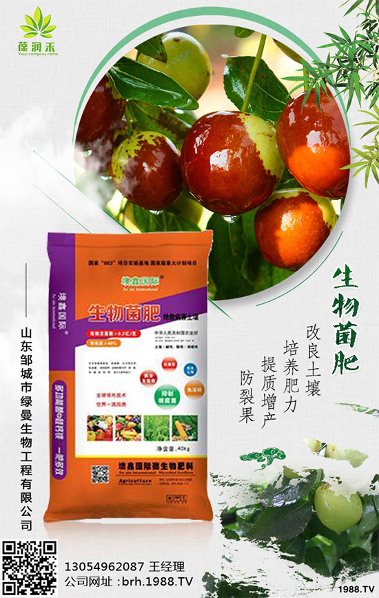 甘蔗是如何種植的，秋植蔗栽培技術(shù)要點(diǎn)有哪些？