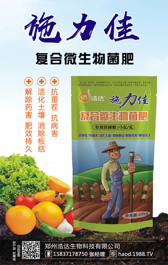 魔芋種植如何實現(xiàn)高產(chǎn)？魔芋高產(chǎn)栽培管理要點