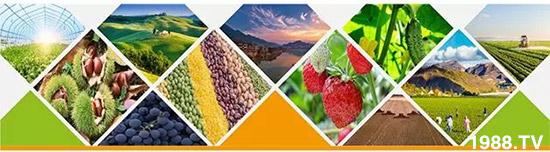 “化肥零增長”高壓下，新型肥料迅速崛起，作物科學增長空間巨大！