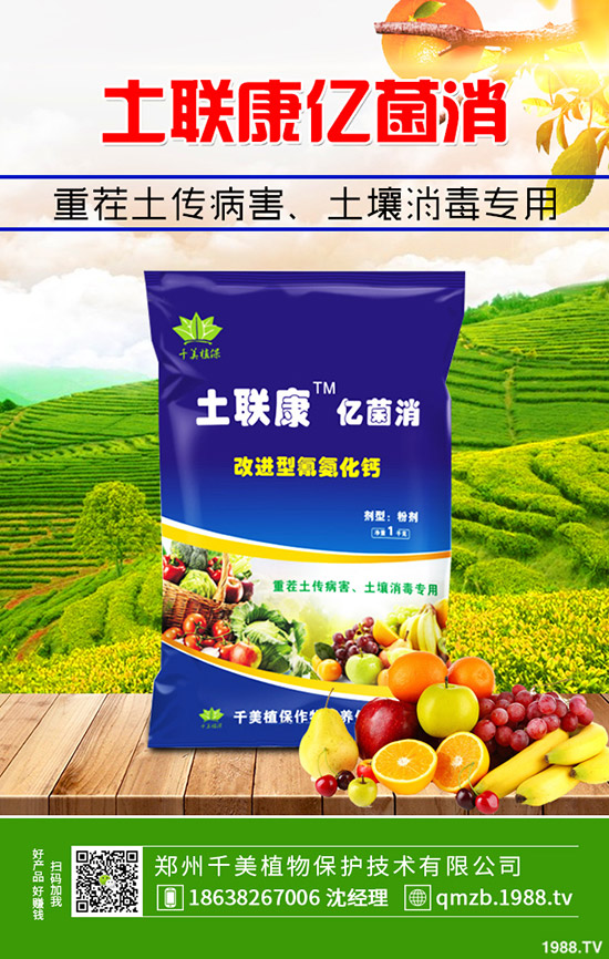     秋季大棚辣椒如何管理？秋季溫室辣椒定植管理技術(shù)！