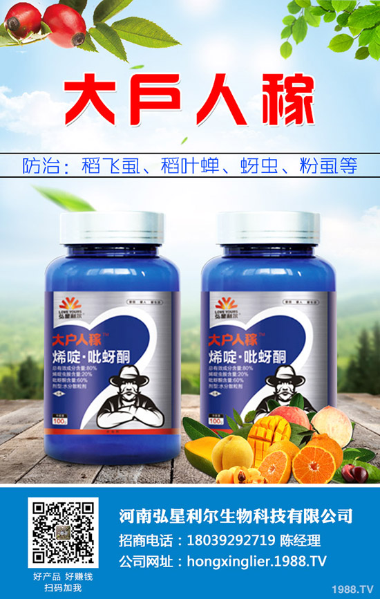 萬年青黃葉怎么辦，萬年青黃葉原因及防治措施！