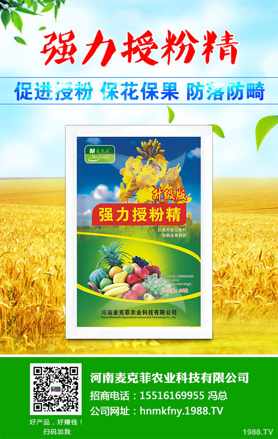 芥菜有哪些營養(yǎng)價值？吃芥菜有哪些好處？芥菜的功效與作用