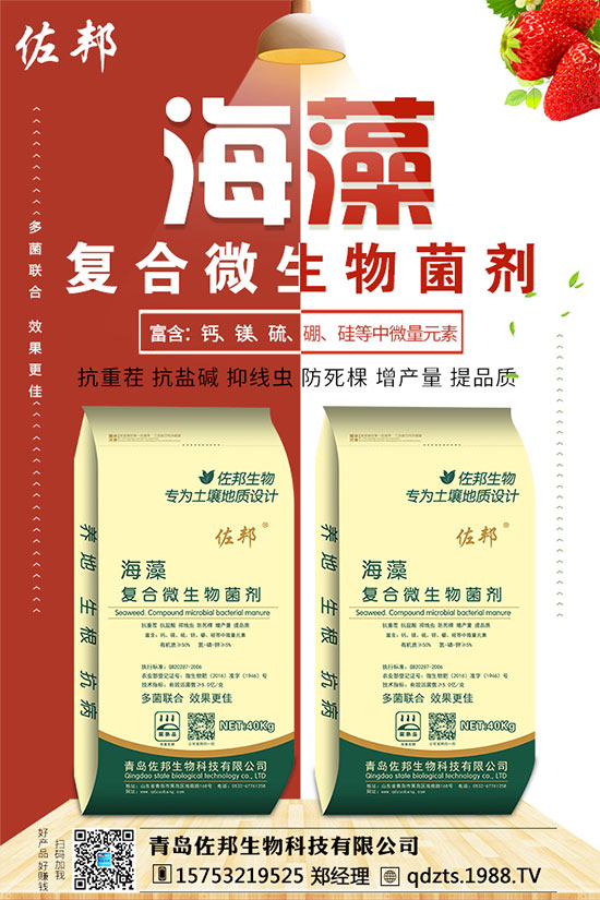 紫薯如何種植？紫薯種植方法和注意事項！