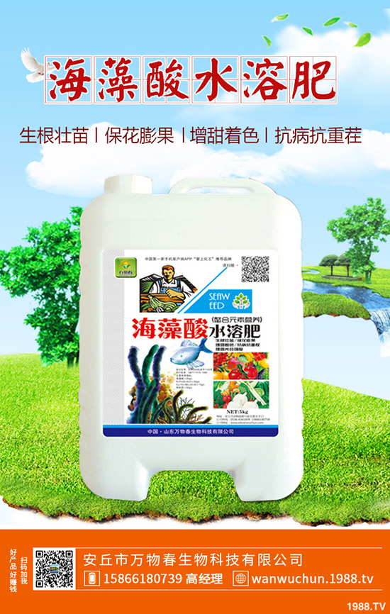 蘆薈多久澆一次水？蘆薈澆水注意事項！