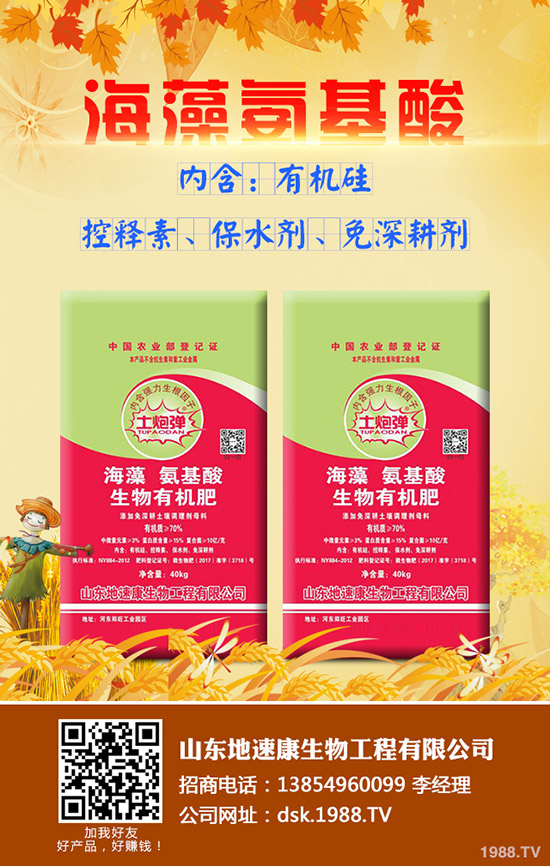     吃甘蔗都有哪些好處？甘蔗的功效與作用有哪些？甘蔗如何選購才更好？