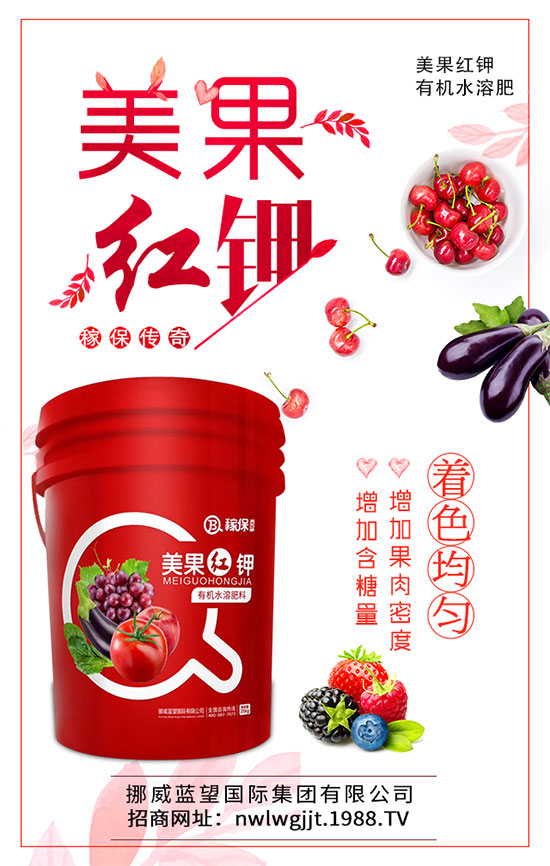 蓮藕什么時候種植？蓮藕種植技術要點！