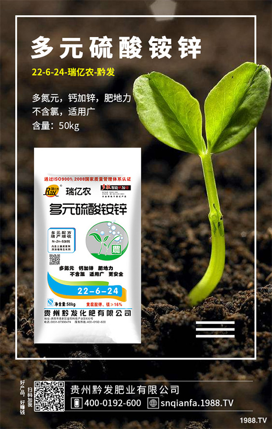 萵苣該如何育苗？萵苣苗期管理技術(shù)要點