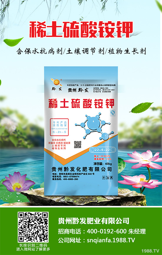 萵苣什么時(shí)候種植？萵苣高產(chǎn)種植方案