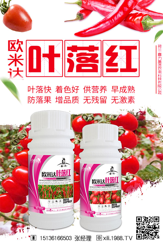立秋后還能種植韭菜嗎？秋后韭菜管理技巧！