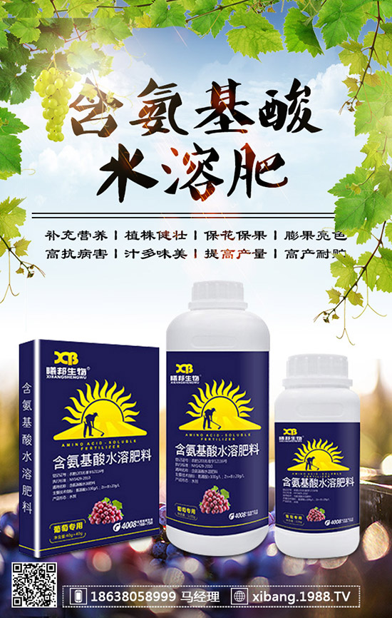 櫻桃蘿卜什么時候種植？櫻桃蘿卜是否需要澆水