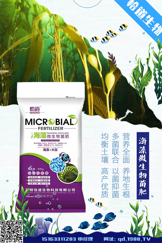 大豆空莢是什么原因造成的？大豆空莢預(yù)防措施！