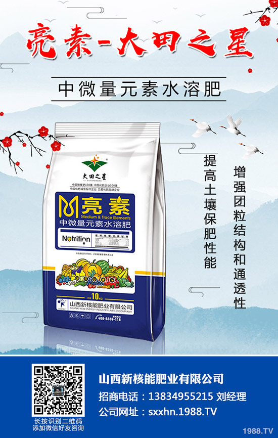 秋季蔬菜如何育苗？秋季常用的育苗的小方法及技術(shù)！