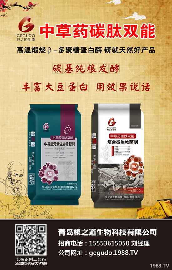     柑橘十月有什么管理注意事項(xiàng)？怎樣管理？柑橘10月管理指導(dǎo)建議！