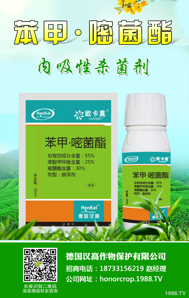 萵筍褐斑病怎么治？萵筍褐斑病防治技巧