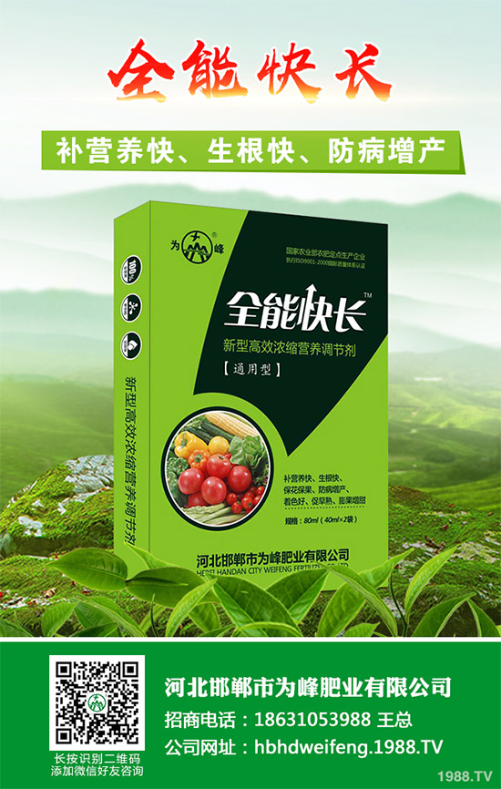 吃茼蒿有哪些好處？茼蒿的功效作用及食用禁忌