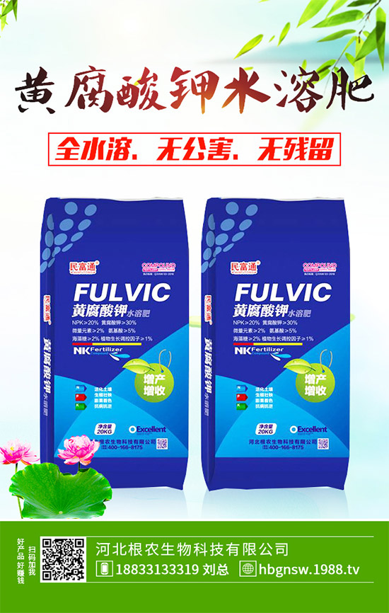 茼蒿該怎么吃？茼蒿的營(yíng)養(yǎng)吃法及注意事項(xiàng)