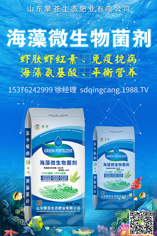     秋冬蘿卜怎么種植？秋冬蘿卜播種時(shí)間及田間管理方法！