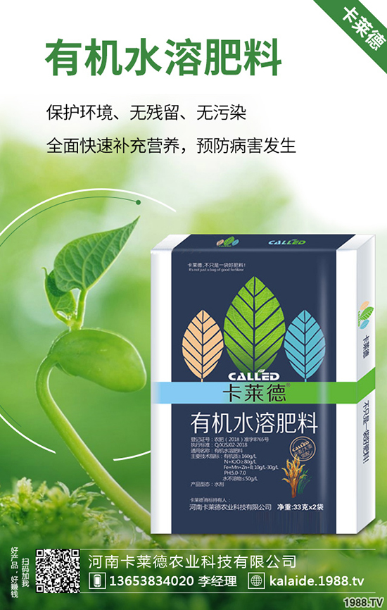 綠蘿長得太長怎么辦，綠蘿的修剪方法有哪些？