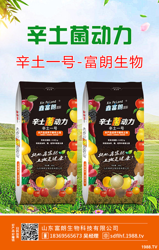     桃樹秋季帶葉修剪好處及什么時(shí)間修剪合適？桃樹秋季修剪技術(shù)！