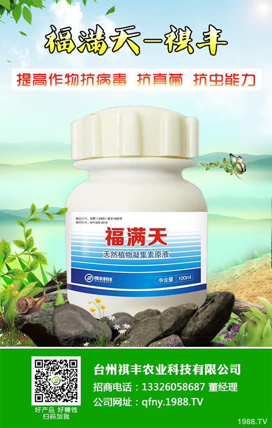 吃萵苣有哪些好處？常見(jiàn)萵苣的做法