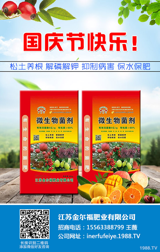     秋季香菜如何種植？香菜種植時間及種植技術(shù)、管理注意事項！