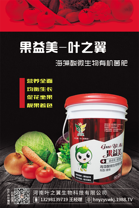 芒果樹環(huán)割的好處，給芒果樹環(huán)割需要注意什么？